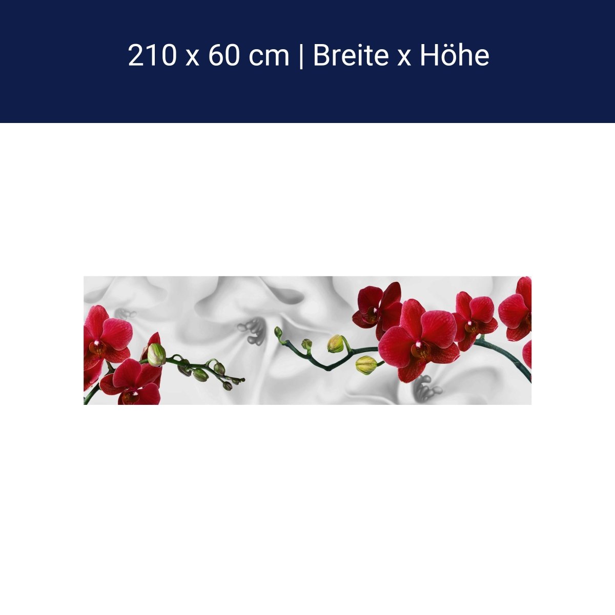 Küchenrückwand Orchideen Rot Weiß Pflanze Hintergrund M1148