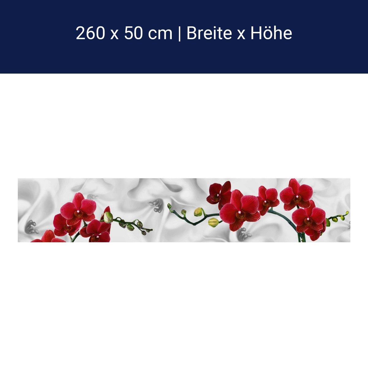 Küchenrückwand Orchideen Rot Weiß Pflanze Hintergrund M1148