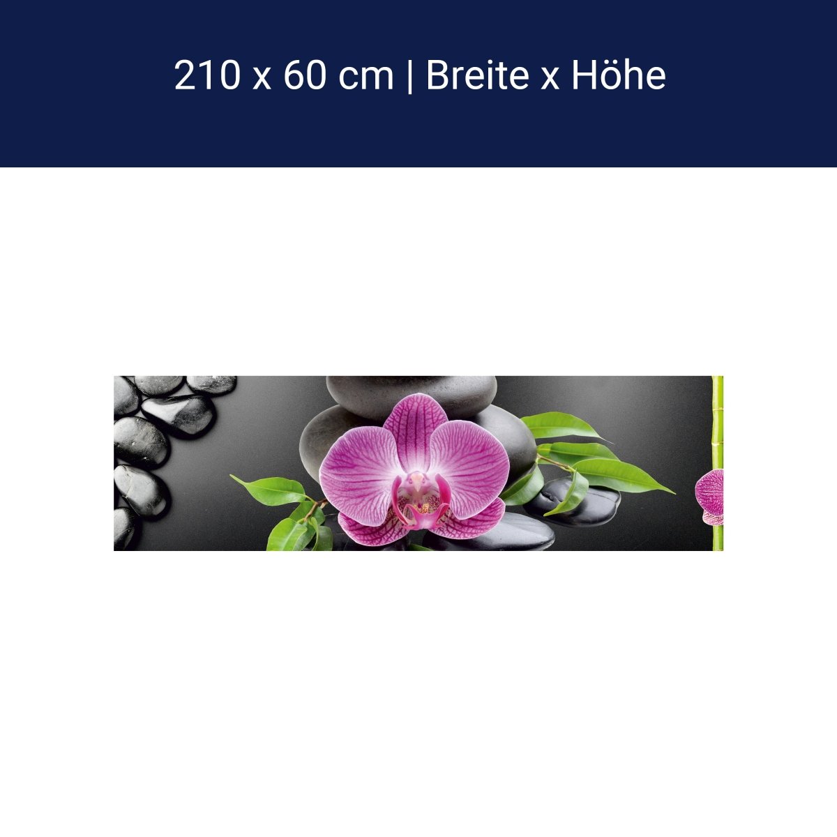 Küchenrückwand Bambus Steine Schwarz Orchidee Magenta M1185