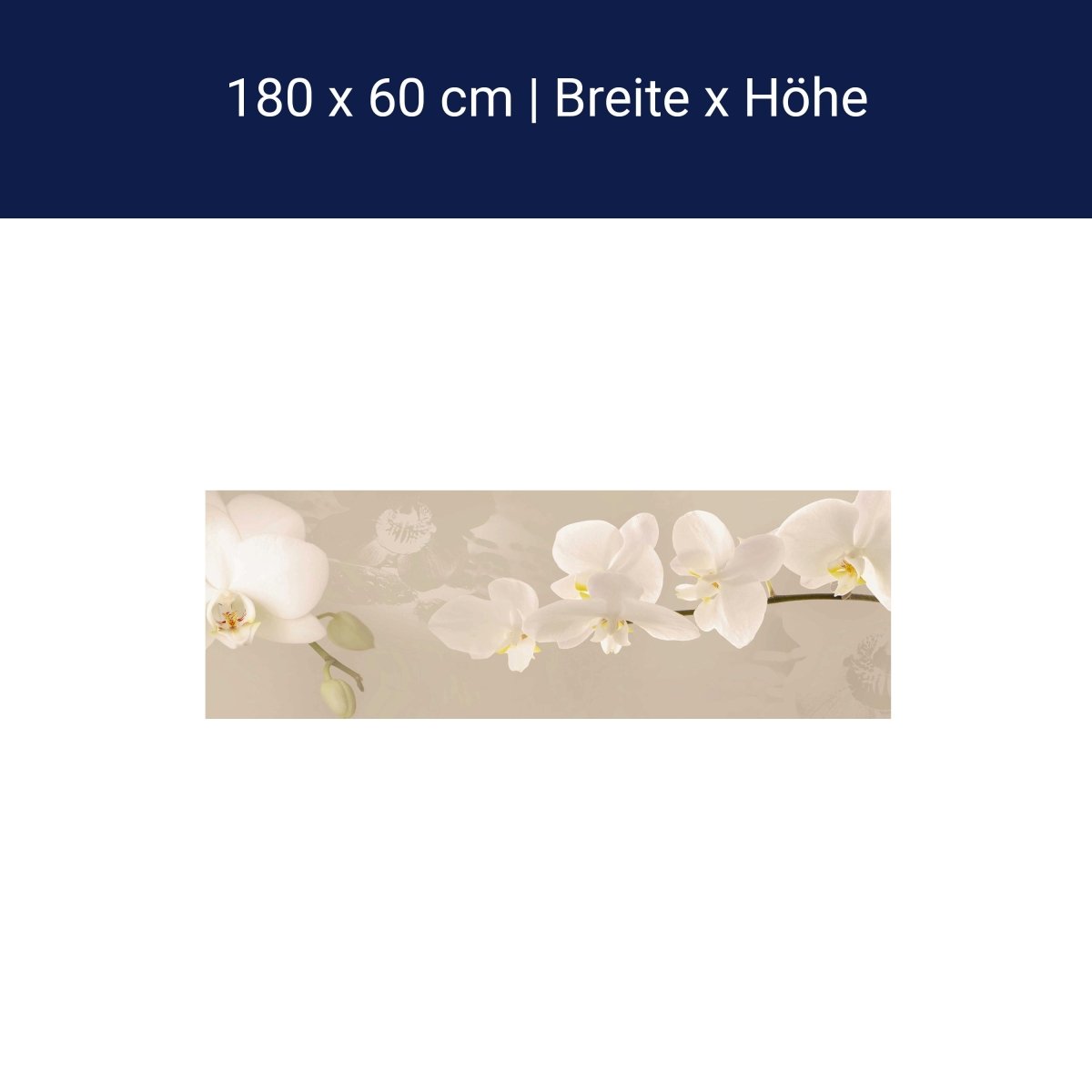 Küchenrückwand Orchidee Zweig Hell Hintergrund Weiß M1226