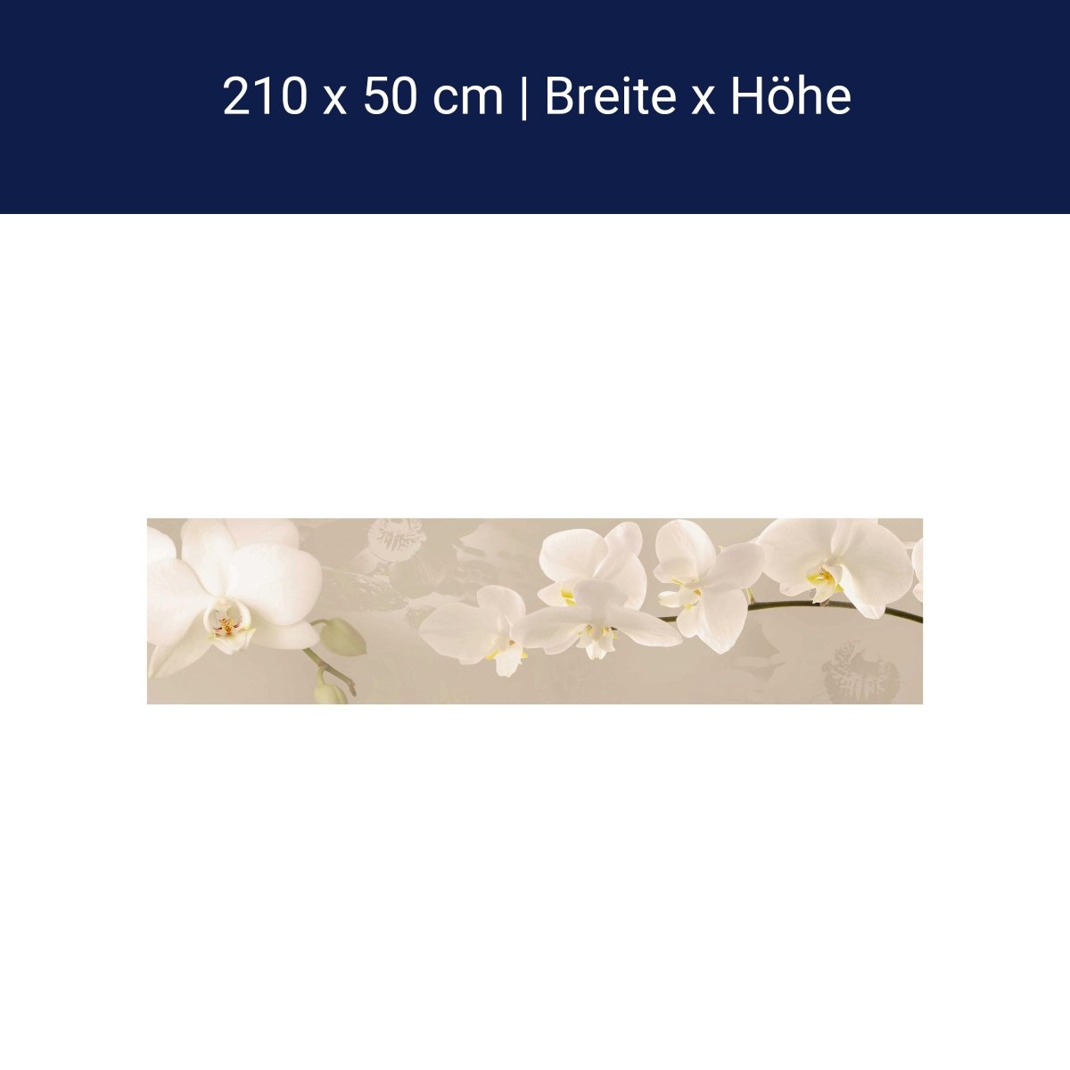 Küchenrückwand Orchidee Zweig Hell Hintergrund Weiß M1226