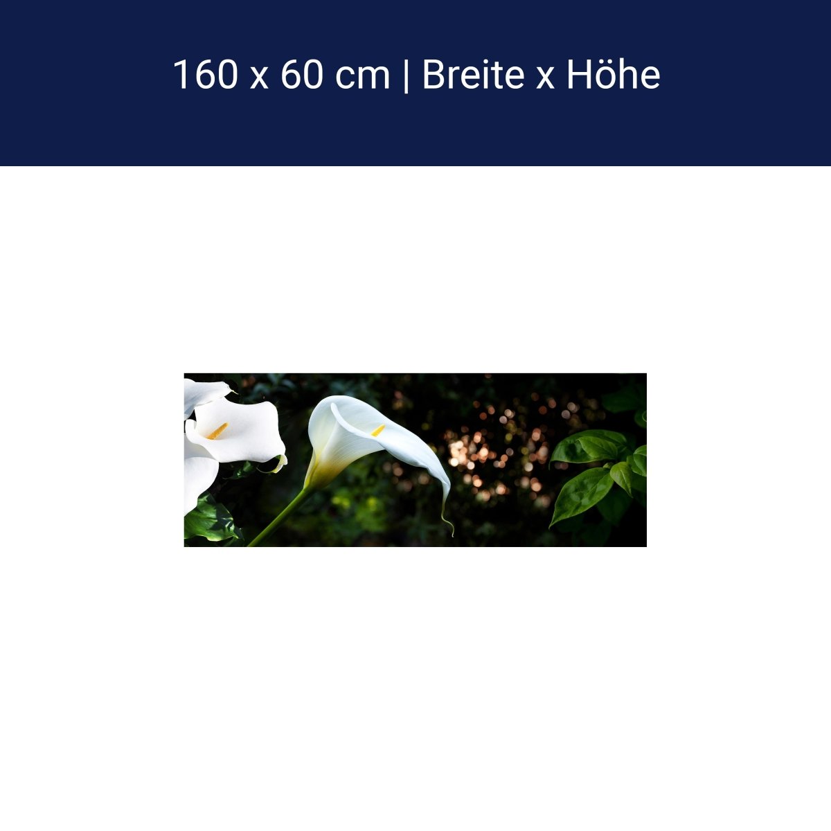 Küchenrückwand Calla Weiß grün Laub Wald Urwald Lotus M1239