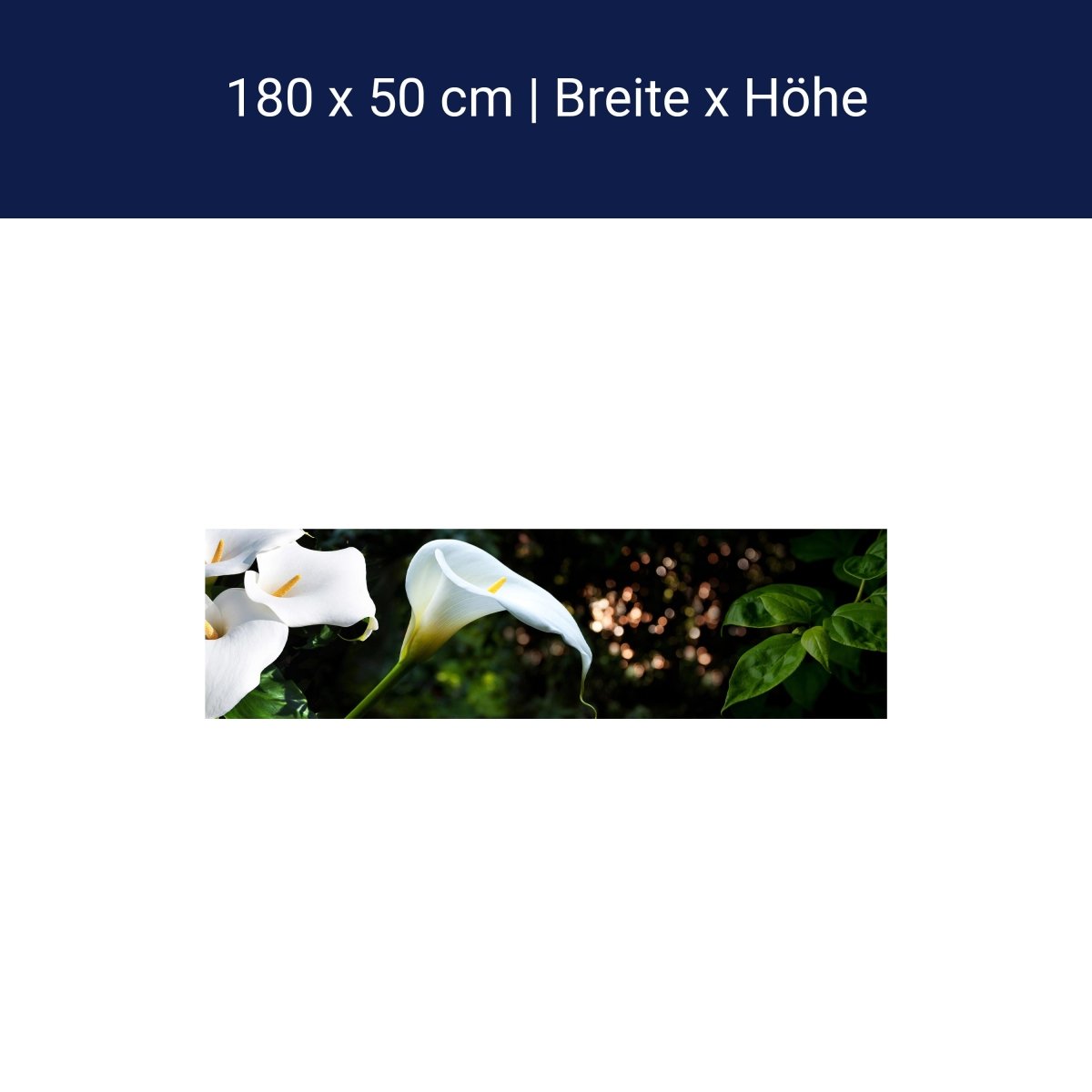 Küchenrückwand Calla Weiß grün Laub Wald Urwald Lotus M1239