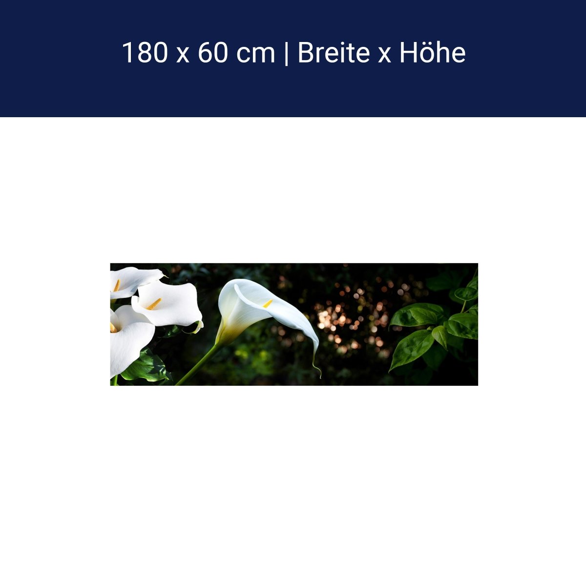 Küchenrückwand Calla Weiß grün Laub Wald Urwald Lotus M1239