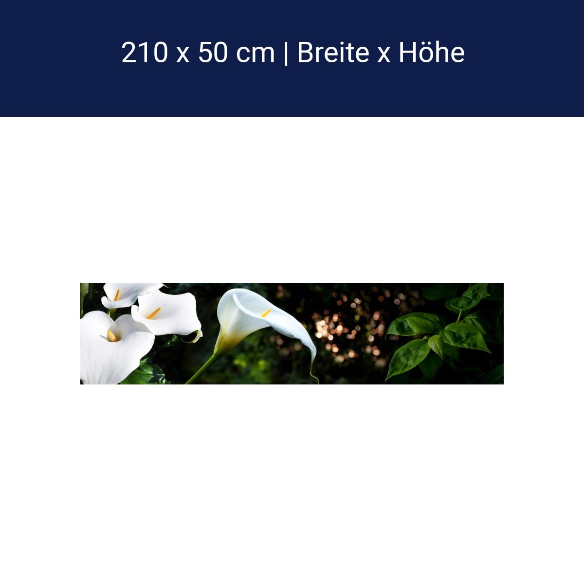 Küchenrückwand Calla Weiß grün Laub Wald Urwald Lotus M1239