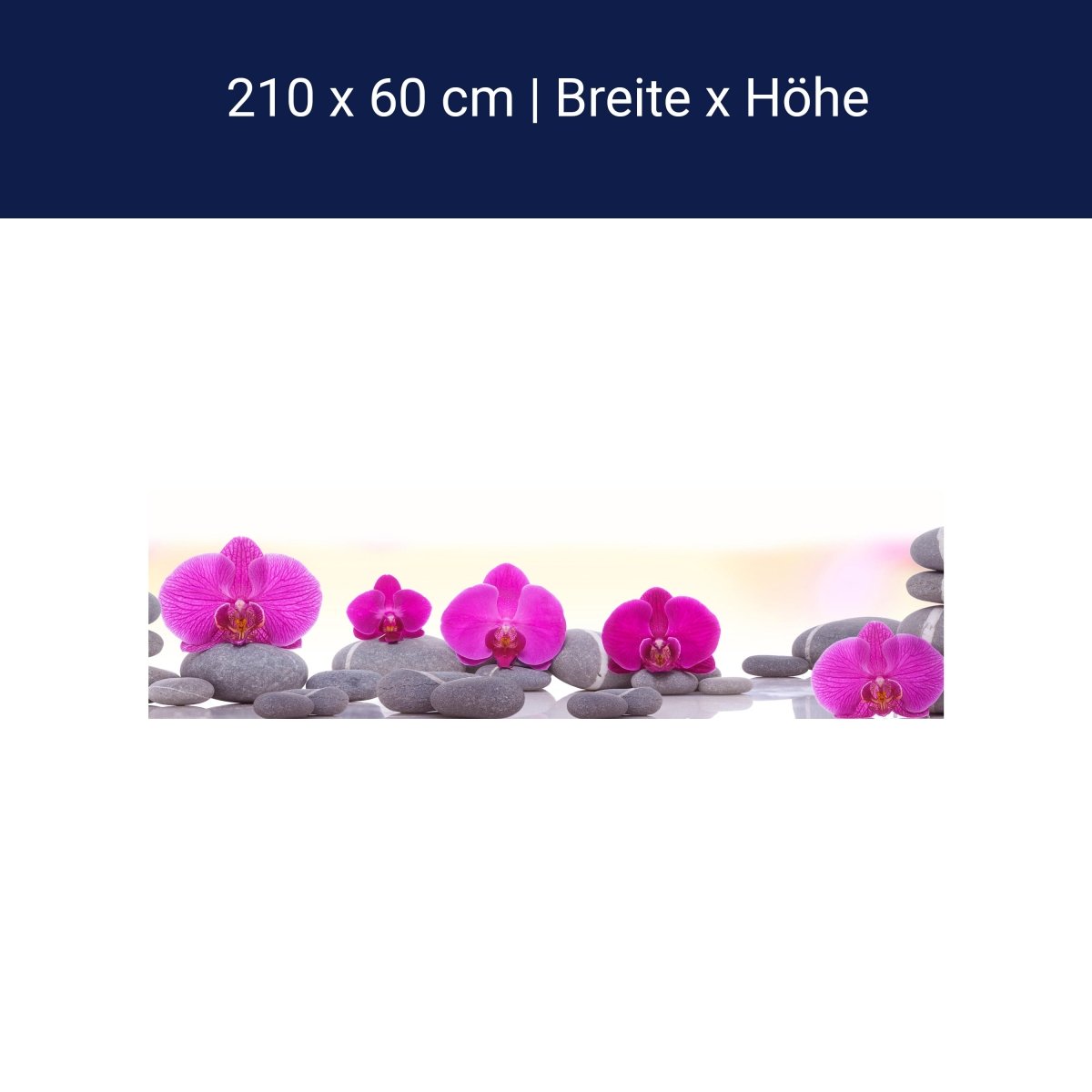 Küchenrückwand Orchidee Steine Blätter rosa M1285