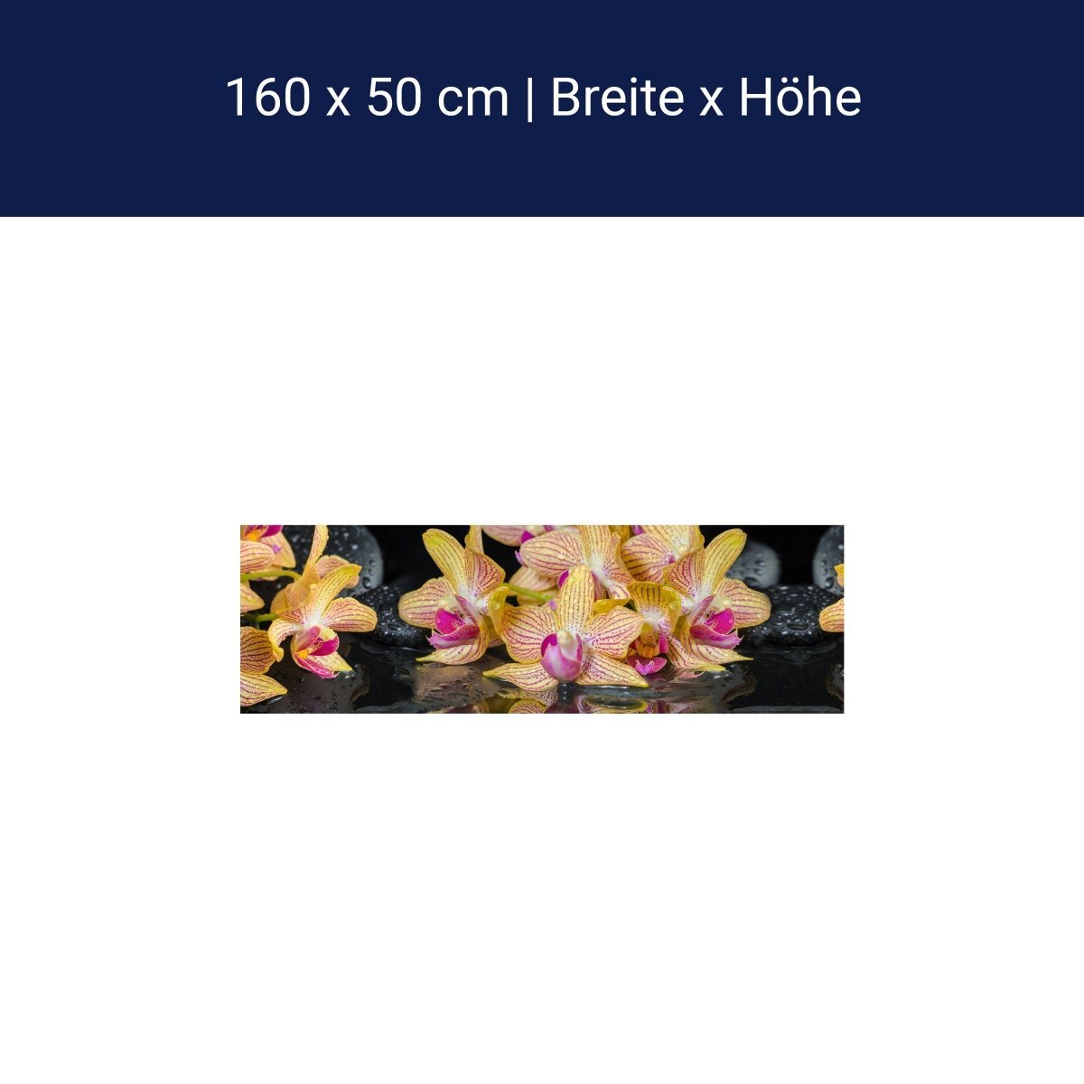 Küchenrückwand Orchidee Steine Wasser M1286