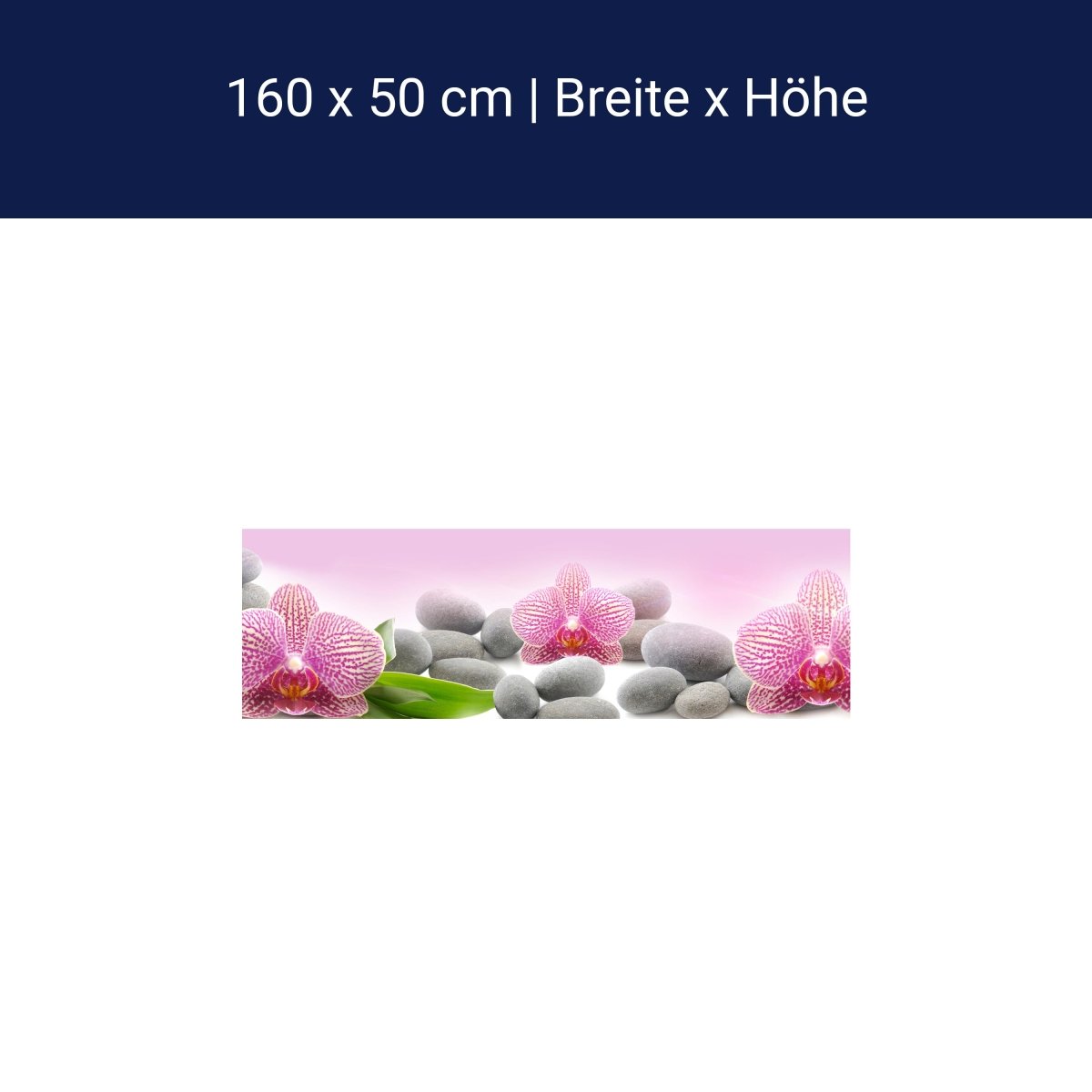 Küchenrückwand Orchidee Blätter Steine Rosa M1291