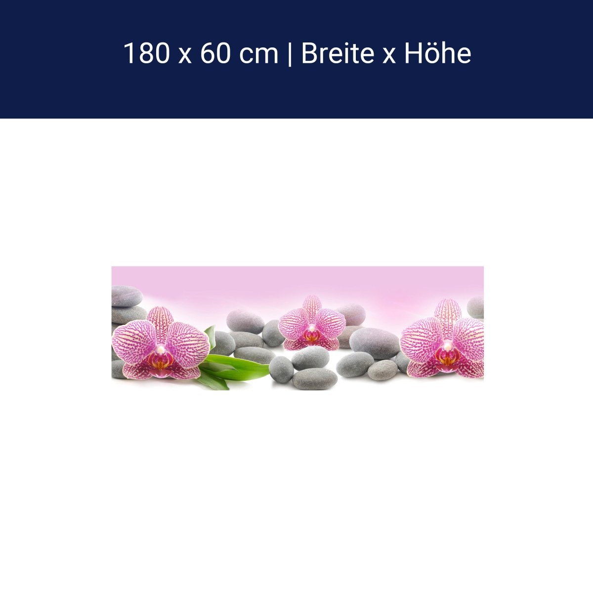 Küchenrückwand Orchidee Blätter Steine Rosa M1291