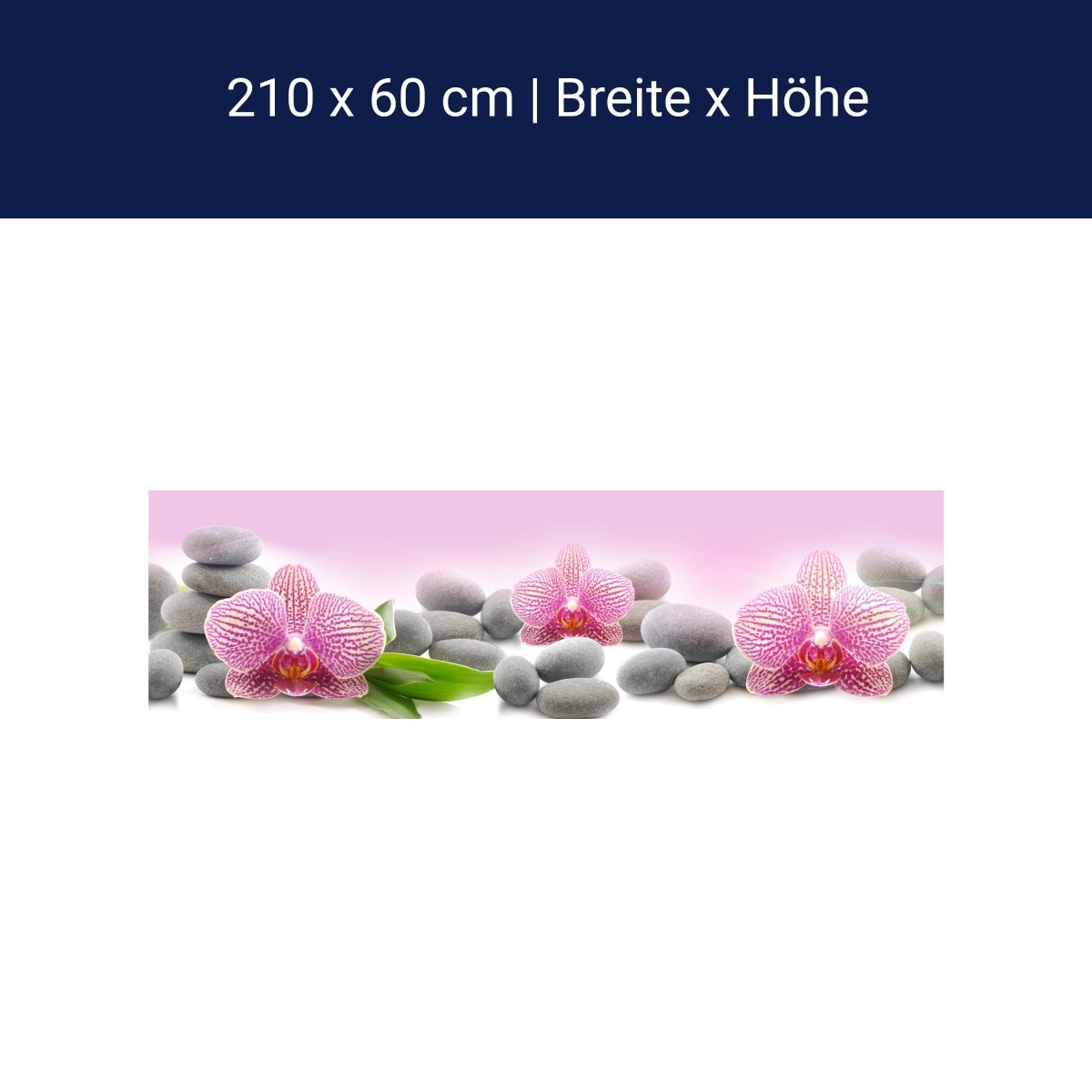 Küchenrückwand Orchidee Blätter Steine Rosa M1291