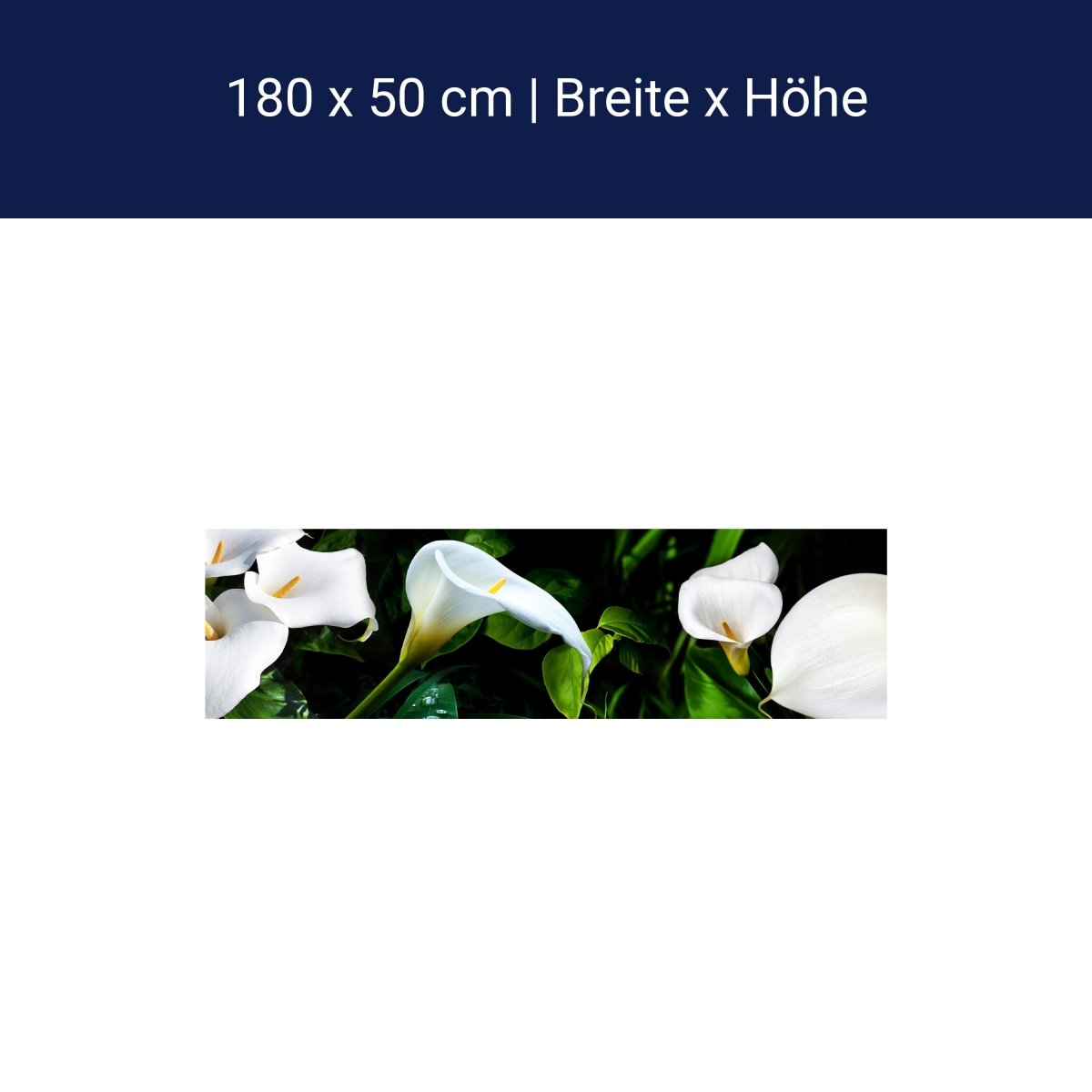 Küchenrückwand calla bartfaden weiß blätter stiel M1381