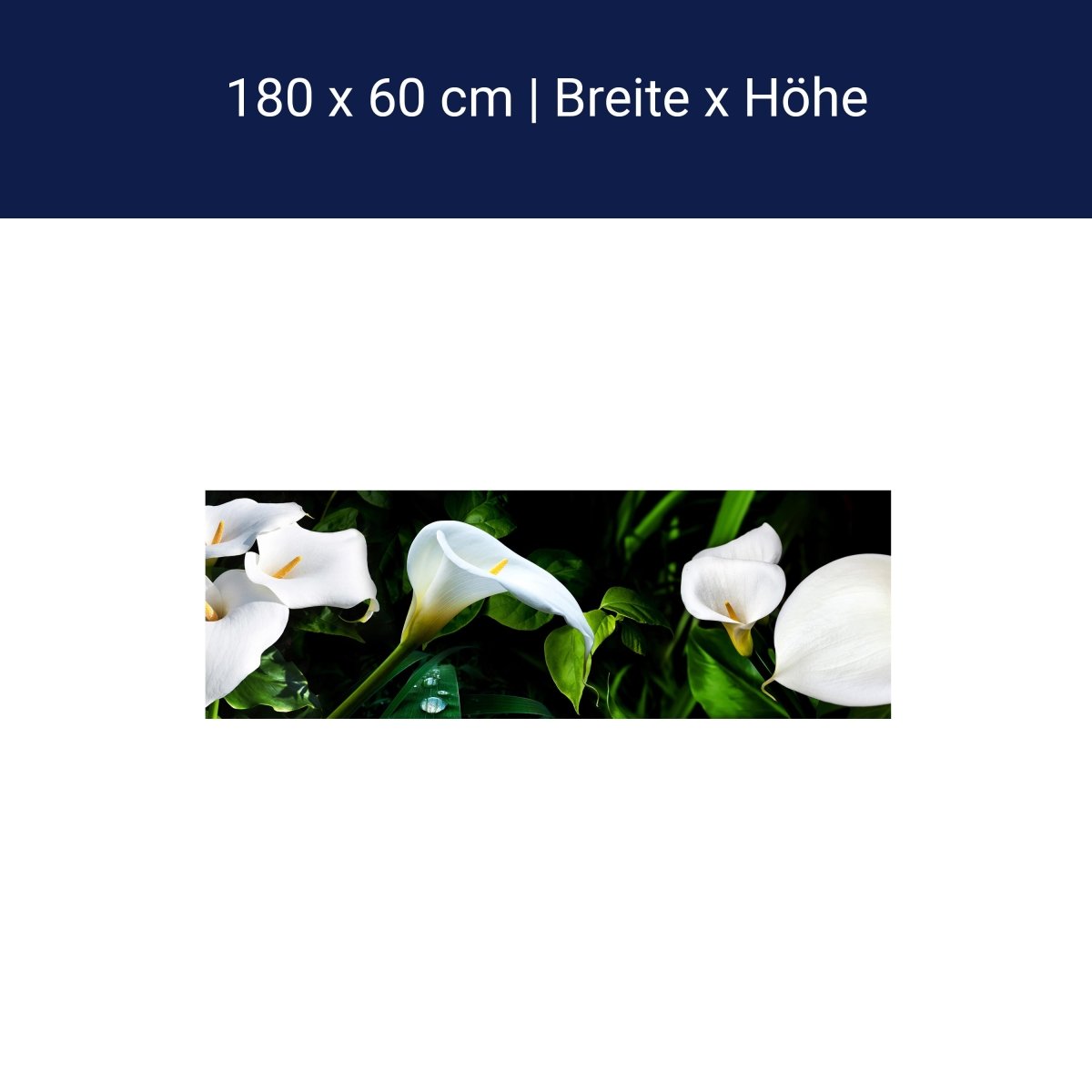 Küchenrückwand calla bartfaden weiß blätter stiel M1381