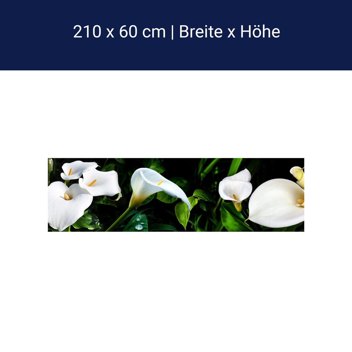 Küchenrückwand calla bartfaden weiß blätter stiel M1381