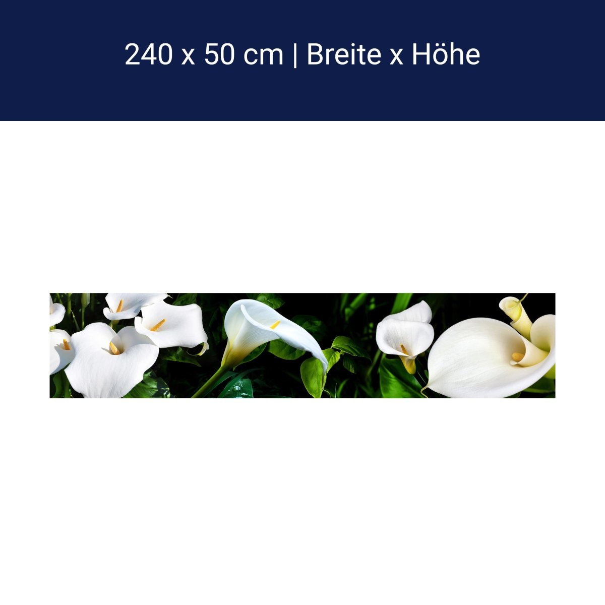 Küchenrückwand calla bartfaden weiß blätter stiel M1381